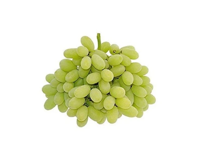 Grapes Sonaka